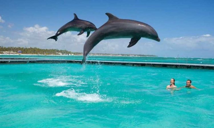 Swimming in Zanzibar 