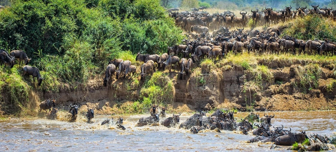 Lake-Ndutu-Migration-Southern-Serengeti