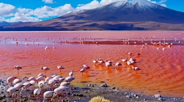 Lake Natron & Flamingo Shore Rides
